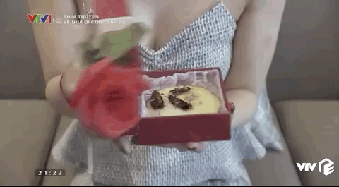 Món quà là một bầy gián của Bảo và Dương (em gái Thư) khiến "tiểu tam" xinh đẹp rơi cảnh thê thảm la hét thất thanh, "chạy như ma đuổi" vì sợ hãi.