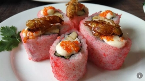 Ngoài trứng đúc thịt gián còn có nhiều món ăn chế biến từ gián, mà điển hình là món sushi gián ở Nhật.