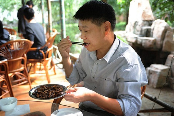 Người đàn ông còn không quên nhấn mạnh rằng gián có thể được sử dụng trong y học và là loài côn trùng có giá trị, nhưng môi trường sống bẩn thỉu nên thường bị khinh ghét, xa lánh.