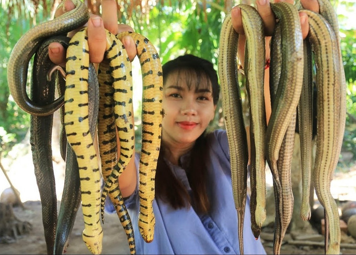 Món súp rắn, canh rắn (Snake Soup) là một món ăn truyền thống có nguồn gốc từ ẩm thực Trung Quốc. Ảnh: TCT, minh họa