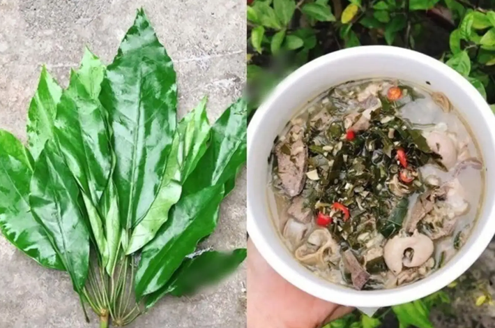Canh tiết lá đắng là một món ăn đặc sản Lai Châu khá khó ăn, nhưng ăn quen thì sẽ cảm nhận được vị ngọt, thơm bùi của món canh này. Lá đắng được hái từ trên các khe rừng, khe suối. Phần phổi lợn được mua và rửa thật sạch, băm nhỏ phần tiết và phổi lợn, sau đó trộn chung với bột ngọt, ớt, tiêu trong 10 phút. Cho toàn bộ nguyên liệu vào một nồi nước và đợi đến khi chín đều. Ảnh: Internet
