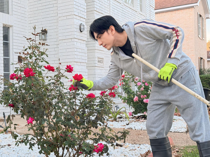 Đan Trường đăng loạt ảnh tự tay chăm sóc vườn hoa hồng trước căn biệt thự rộng lớn ở Mỹ. Ảnh: FB Dan Truong Pham