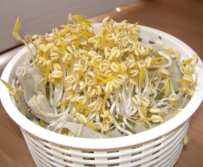 Làm giá đỗ bằng rổ nhựa: Nguyên vật liệu cần có: 1 cái rổ nhựa, 1 cái đĩa sứ,1 khăn lông lớn, 100g đậu xanh. Ảnh minh họa