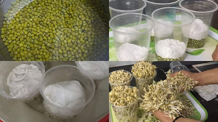 Làm bằng cốc: Giá đỗ chứa nhiều vitamin và các khoáng chất, là loại rau phổ biến, được dùng làm giá sống hoặc chế biến món ăn. Để làm giá đỗ tại nhà bằng cốc, cần chuẩn bị các nguyên liệu và dụng cụ sau: Đỗ xanh, nước, cốc giấy, nhựa. Sau khi chuẩn bị nguyên liệu xong hãy bắt tay vào làm: rửa sạch, ngâm đỗ xanh trong 6 - 8 tiếng. Đục vài lỗ ở đáy cốc. Cho đậu xanh vào trong cốc nhựa, để vải mỏng hoặc giấy ăn lên trên rồi nhúng cả cốc vào nước vài phút. Đặt cốc ở vị trí tối. Tưới nước thường xuyên cho đỗ. Thu hoạch giá sau 2 - 3 ngày. Ảnh Internet