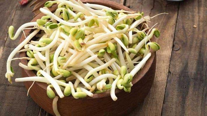 Ngay tại nhà bạn cũng có thể tự làm giá đỗ vừa ngon lại sạch, đảm bảo an toàn vệ sinh. Ảnh Internet