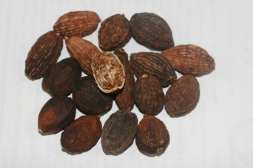 Quế, húng, bạc hà. Ba loại gia vị này sẽ cải thiện mùi tự nhiên của bạn. Không những thế, nó còn đốt cháy nhiều calo, cung cấp vitamin K, folate, kẽm và magiê.