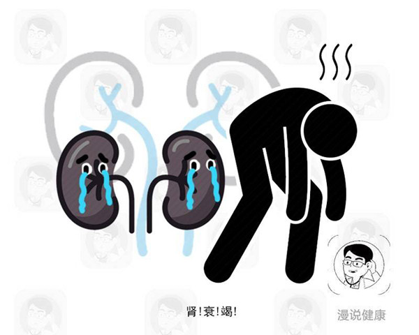 Cụ thể, thiếu nước dẫn đến lượng nước tiểu giảm mạnh. Theo cách này, các chất độc hại trong cơ thể không được bài tiết ra ngoài. Về lâu dài, chúng tích tụ trong thận, dẫn đến viêm thận, hoại tử mô thận, thậm chí là suy thận. Ảnh: Internet.