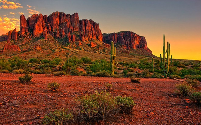 Sa mạc Sonoran, Mỹ và Mexico: Sa mạc này có nhiều khu vực được bảo vệ như khu bảo tồn thung lũng Coachella hay công viên quốc gia Joshua. Dù có môi trường khắc nghiệt, Sonora vẫn là nơi sinh sống của nhiều loại động thực vật. Đây là nơi duy nhất trên thế giới nơi xương rồng Saguaro mọc trong tự nhiên.