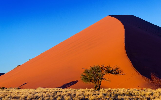 Sa mạc Namib: Trải rộng 81.000 km² ở phía tây nam châu Phi, Namib gần như không có người sinh sống, trừ một số cụm dân cư nhỏ. Với những biển cát rộng lớn gần bờ nước tới các dải đá hiểm trở sâu trong đất liên, sa mạc có hệ động vật hoang dã phong phú, trong đó có nhiều loài quý hiếm như tê giác đen, báo đốm, ngựa vằn.