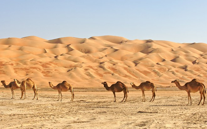 Sa mạc Empty Quarter, Bán đảo Ả Rập: Trải rộng 650.000 km2, qua Ả Rập Saudi, Oman, Các Tiểu vương quốc Ả Rập Thống nhất và Yeman, Empty Quarter có lẽ là sa mạc điển hình nhất thế giới, với những cồn cát nối tiếp nhau. Các du khách có thể dễ dàng tiếp cận phần sa mạc gần Dubai hay Abu Dhabi.