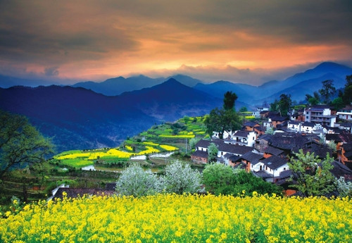 Làng Wuyuan, Giang Tây, Trung Quốc nổi tiếng với những ngôi nhà cổ có kiến trúc độc đáo chen lẫn trong sắc hoa cải rực rỡ. Từ đầu tháng 3 đến giữa tháng 4 là thời điểm tuyệt vời để chiêm ngưỡng Wuyuan đẹp tựa chốn thần tiên trong thảm hoa cải vàng rực.