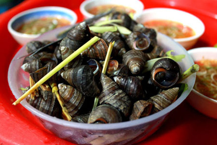 So với các nguyên liệu khác, công đoạn làm sạch bùn đất trên từng con ốc khá mất thời gian. Chưa kể, phải khá lâu ốc mới nhả hết sạn cát. Để đảm bảo đủ đồ phục vụ khách, hầu hết các quán đều xử lý qua loa rồi chế biến. Điều này đồng nghĩa với việc rất có thể bạn đang thưởng thức những chú ốc “trộn” bùn.