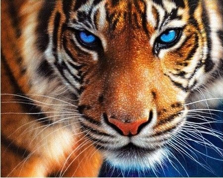 Tiểu nhân có thể khiến con giáp dính vào thị phi, thậm chí có những tổn thất liên quan tiền bạc. Vì vậy tuổi Dần cố gắng bình tĩnh, tránh nóng giận ảnh hưởng tinh thần chung, cũng như hiệu quả công việc.