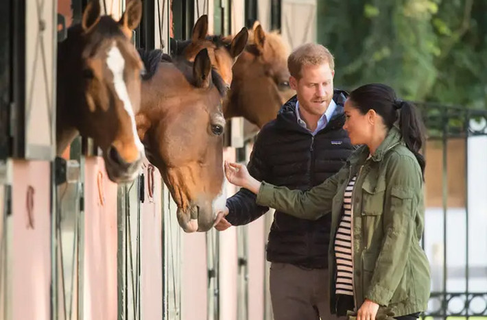 Tháng 2/2019: Meghan và Harry tới Morocco trong một chuyến công tác.