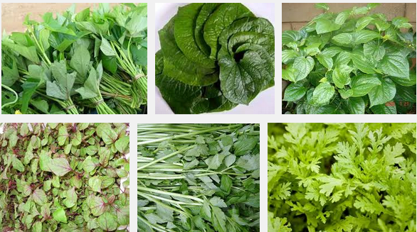 Đối với những loại rau ăn lá không nên chọn rau có màu xanh quá đậm, quá mướt, lá bóng tốt khác thường. Khi mua các loại cải nên bẻ ngang phần gốc nếu thấy có nước từ thân tiết ra đó là cải bị bón quá nhiều phân đạm, không đảm bảo thời gian cách ly.