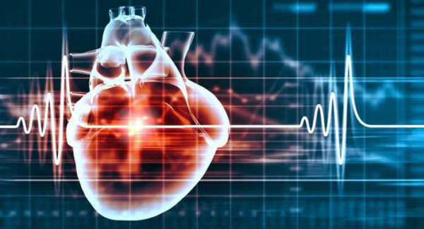 Nguyên nhân gây nhồi máu não được chia thành 2 loại. Một là, lối sống không lành mạnh như hút thuốc, uống rượu, ăn nhiều muối, ít vận động, béo phì, dễ kích động... Hai là, cơ thể mắc các bệnh như huyết áp cao, tiểu đường, tim mạch vành, gan nhiễm mỡ, rối loạn nhịp tim...