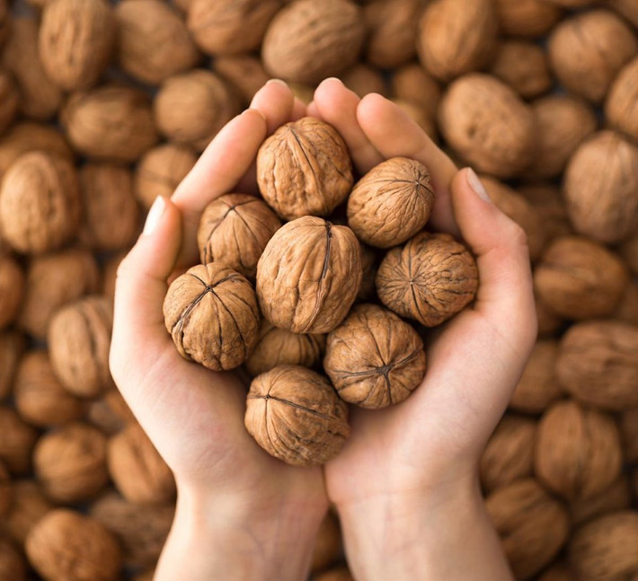 Quả óc chó có nhiều axit béo omega-3. Nghiên cứu còn chỉ ra sự cải thiện chức năng gan ở những người mắc bệnh gan nhiễm mỡ thường xuyên ăn quả óc chó. Ảnh: voh.