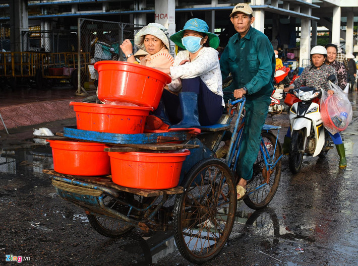 Hàng ngày họ dậy sớm đeo găng tay, đi ủng chạy xe máy vượt đường hàng chục cây số từ các huyện Tây Sơn, Tuy Phước... đến TP Quy Nhơn túc trực thu mua cá, mực.