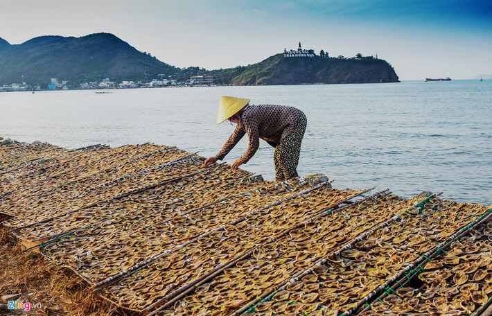 Bà Nguyễn Thị Hà (ngụ phường Hải Cảng, TP Quy Nhơn) phàn nàn trong khi người dân không có đất làm ăn thì nhà nước cho doanh nghiệp lấn biển khu đất rộng lớn rồi bỏ hoang suốt 6 năm, rất lãng phí.