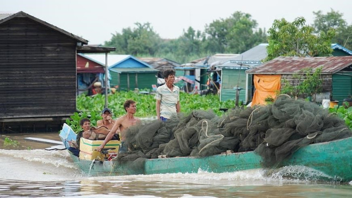 Nghề chài lưới của người gốc Việt trên Biển Hồ rất vất vả do nguồn cá ngày một ít đi.