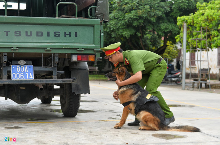 Trong phần thi tìm kiếm thuốc nổ TNT trên ôtô, chó nghiệp vụ chỉ mất vài giây để tìm ra vị trí chính xác. Mỗi khi tìm thấy thuốc nổ, chó lại ngồi xuống để báo hiệu. Do một số loại thuốc nổ được kích hoạt bằng âm thanh nên chó sẽ không sủa khi phát hiện mục tiêu.