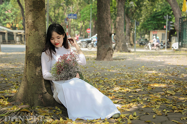 Hễ thấy lá vàng bắt đầu rụng đầy phố, phụ nữ Hà Nội, đặc biệt là những thiếu nữ tuổi 18, đôi mươi lại xúng xính trong tà áo dài, rủ bạn bè, người yêu đến đường Phan Đình Phùng chụp ảnh.
