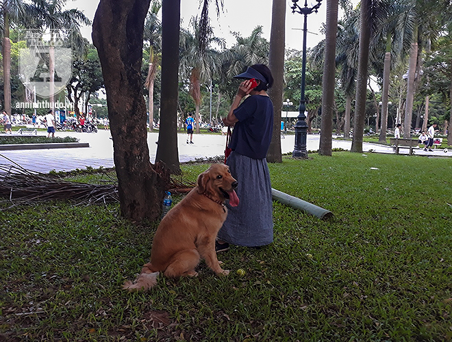 Có chủ chó còn đùa cợt “Có thì nó chỉ cắn một nhát thôi”