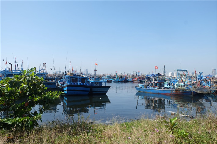 Âu thuyền Thọ Quang, thuộc phường Thọ Quang, quận Sơn Trà TP Đà Nẵng, với 4ha mặt đất và khoảng 55ha mặt nước. Đây được xem là âu thuyền lớn nhất của TP Đà Nẵng, neo đậu nhiều loại tàu thuyền của ngư dân khi vào trú bão hoặc mua bán thủy hải sản và tiếp nhiên liệu, thực phẩm để tiếp tục vươn khơi.