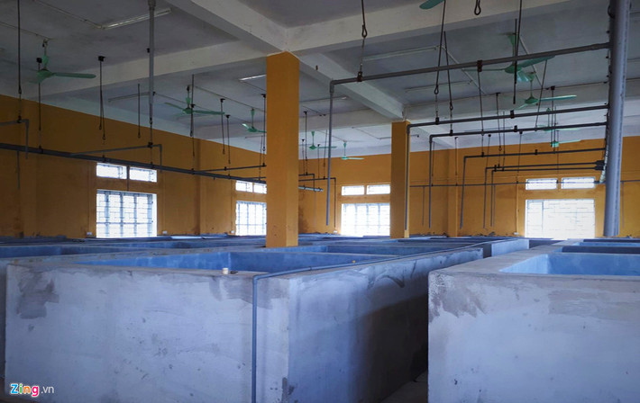 Các bể bê tông cùng hệ thống ống dẫn, điện, quạt đầy đủ được trang bị cho việc thực hành song không sử dụng đến.