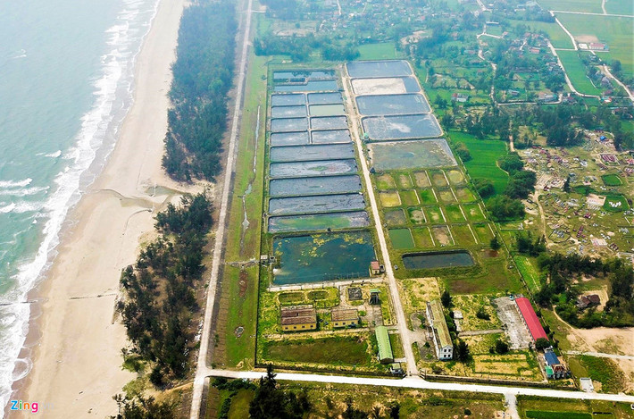 Trung tâm thực hành nuôi nuôi trồng thủy sản Đại học Vinh tại thôn Trường Vĩnh, xã Xuân Trường, huyện Nghi Xuân (Hà Tĩnh), hiện có nhiều hạng mục bị bỏ không, để cỏ mọc vào tận trong nhà.