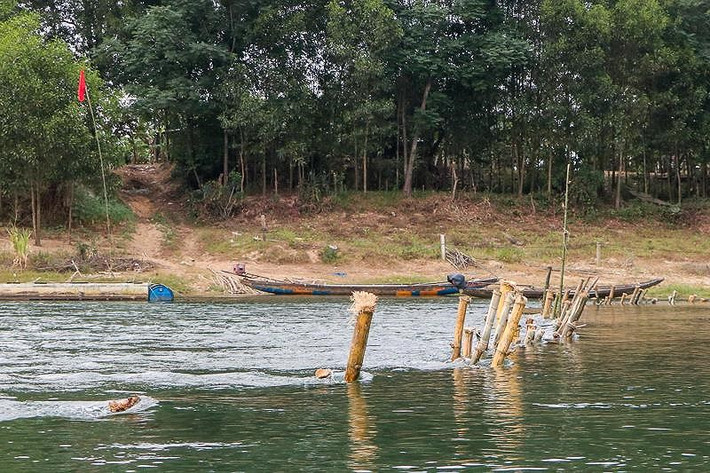 Người dân chôn dãy cọc tre chừng một nửa chiều rộng con sông. Phía bên kia bờ thuộc địa phận xã Phong Sơn, huyện Phong Điền thì vẫn thông thoáng.