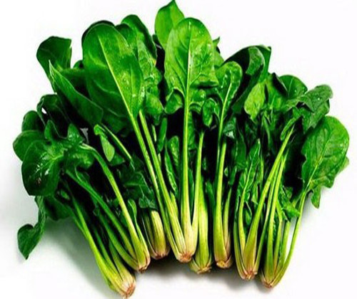 Rau cải bó xôi chứa nhiều chất dinh dưỡng khác nhau, bao gồm cả kali. Do đó, người bị thận cũng nên tránh ăn loại rau này. Ảnh: vuahatgiong.