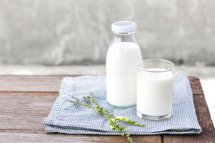 Sữa là thức uống giàu dinh dưỡng nhưng tiêu thụ quá nhiều sữa, kết hợp với các thực phẩm giàu phốt pho khác, có thể gây bất lợi cho xương ở những người mắc bệnh thận. Ảnh: giaoducthoidai.