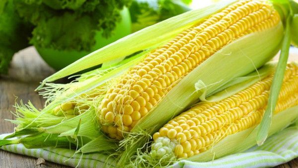 Bước 1 - Bạn tiến hành loại bỏ lớp vỏ ngô già bên ngoài. Khi lột, nên chừa lại 2, 3 lớp vỏ bên ngoài để ngô được duy trì độ ẩm tốt, hạt mềm, không bị khô cứng.