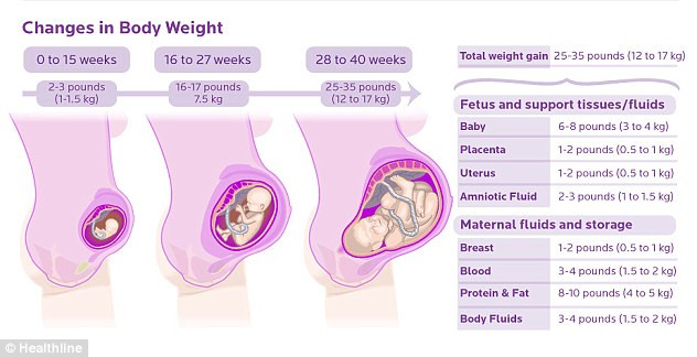 Thông thường, mỗi phụ nữ sẽ tăng khoảng 12-17kg trong khi mang thai, bao gồm trọng lượng bào thai nặng 3-4kg, nhau thai, tử cung, nước ối cũng như chất dịch trong cơ thể mẹ.