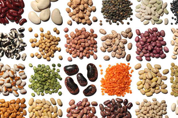 Các loại đậu như đậu nành, đậu lăng, đậu xanh chứa oligosaccharides, một loại đường tự nhiên trong hạt cà phê gây đầy hơi, to bụng chướng bụng.