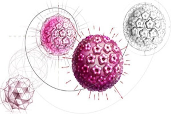 Gen của bạn có chứa virus cổ xưa. 8% gen của chúng ta được tạo thành từ Virus thuộc nhóm Retrovirus, chúng có thể chèn bản sao nguyên liệu di truyền của chúng vào ADN sau khi nhiễm vào trứng hoặc tinh trùng người cách đây hàng triệu năm và dán vào genome nguyên thủy một số lượng lớn bản sao di truyền của chúng. Hầu hết chúng đã bị biến đổi trong cơ thể bạn nhưng cũng có một số có thể hình thành cuộc sống mới, như trong bệnh nhân ung thư hoặc HIV.