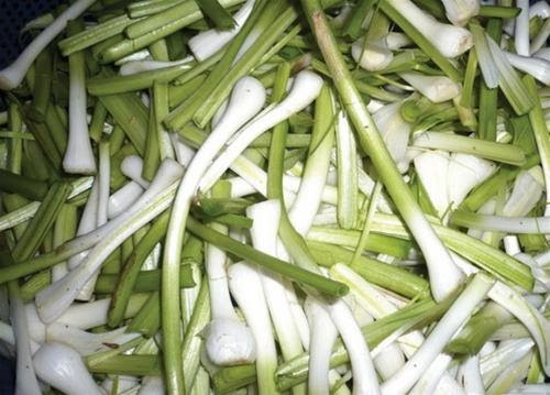Gỏi tỏi. Món gỏi tỏi đặc sản của Lý Sơn được chế biến từ những cây tỏi đực. Tỏi đực củ thường nhỏ gần bằng thân cây, khi nhổ về cắt bỏ phần rễ và phần lá ngọn. Dùng dao cắt thân thành từng đoạn vừa rồi chẻ ra làm hai.