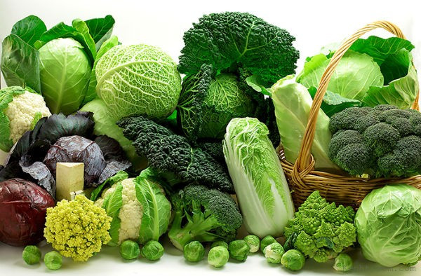 Vào thời điểm giao mùa hiện tại, thời tiết ngày càng lạnh hơn, chênh lệnh nhiệt độ giữa ngày và đêm cũng lớn. Để đảm bảo sức khoẻ, tốt nhất bạn nên cân bằng dinh dưỡng. Ngoài việc phải bổ sung đạm, đừng quên các loại trái cây và rau. Những loại thực phẩm này rất giàu chất xơ, vitamin, canxi, kẽm, sắt, khoáng chất, axit amin và các nguyên tố vi lượng. (Ảnh minh họa)