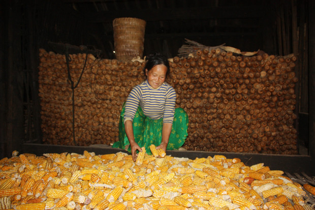 Bánh có thể thái mỏng và nướng trên than củi, cũng có thể thái chỉ, nấu với đường ăn rất mát. Ảnh: baohagiang.