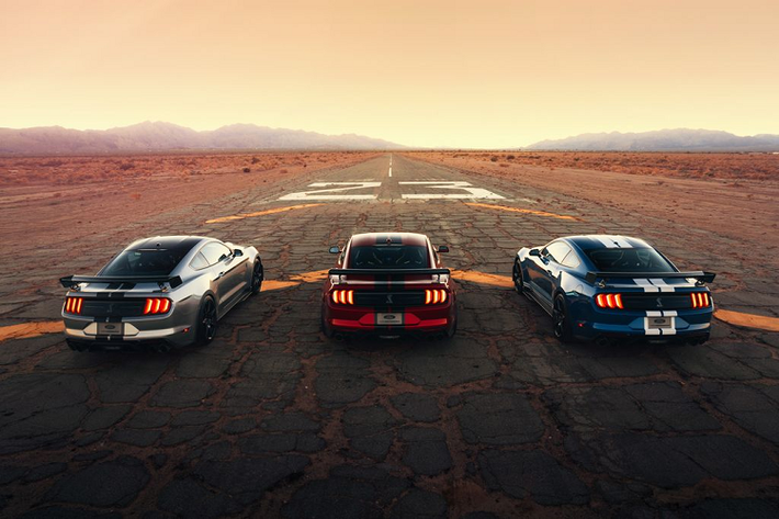 Do đó, tổng cộng một loạt chi phí nhập khẩu, chuyển đổi tay lái và chi phí giá bán Ford Shelby GT500 sẽ đội lên thành từ 300,000 tới 450,000 đô la Úc (4.8 tới 7.2 tỷ đồng), theo Cars Guide.