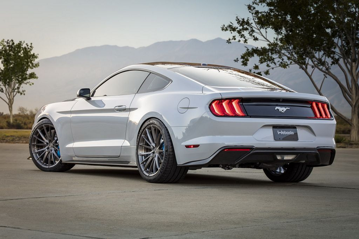 Ford Mustang Lithium 2020 sở hữu một ngoại hình bóng bảy và bắt mắt cùng với sự pha trộn của 3 tông màu trắng/đen và xanh. Mẫu xe này vẫn duy trì ADN tổng thể như các phiên bản tiêu chuẩn nhưng đã được Ford tinh chỉnh lại đôi chút chi tiết như hạ thấp khoảng sáng gầm xe, mâm xe 20 inch cỡ lớn, phanh trước với 6 piston cùng phanh Brembo từ Shelby GT350R, bộ khuyếch tán sau, mui xe bằng polycarbonate trong suốt.