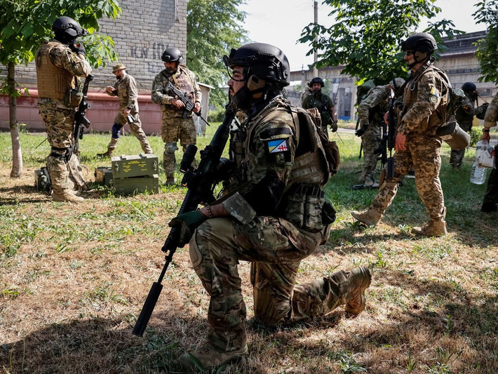 Ngoài ra, Georgia cũng đã gửi 1.042 chiến binh tới Ukraine. Mỹ, Canada, Anh, Romania, Đức, Pháp và các nước NATO khác cũng đã phái hàng trăm, thậm chí hàng nghìn chiến binh (lính đánh thuê nước ngoài) tới Ukraine.