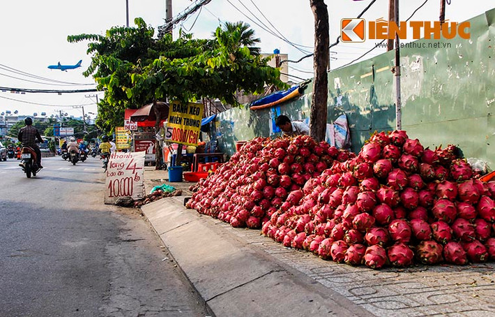 Tất cả những điểm này đều bán thanh long với giá rẻ giật mình, không thể tin nổi: 10.000 đồng cho 3 hoặc 4kg.