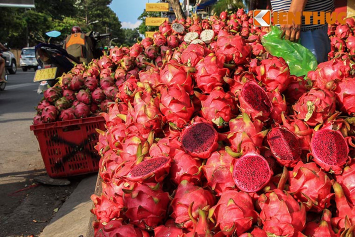 Không chỉ thanh long ruột trắng được bán với giá thấp mà cả đặc sản thanh long ruột đỏ cũng được đổ đống bày bán với giá 8.000 đồng/kg. Thậm chí có nơi còn bán 10.000 đồng 2kg.