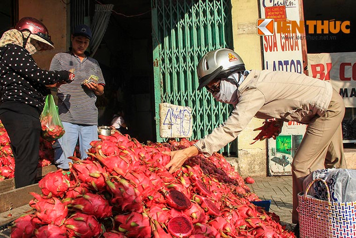Trong khi đó, các chợ đầu mối như chợ nông sản Thủ Đức, chợ Hóc Môn, chợ Tam Bình... thanh long ruột đỏ được bán với giá giao động từ 15.000 - 20.000/kg.