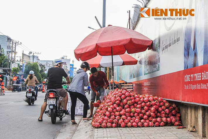 Tại tuyến đường Phạm Văn Đồng, Phan Văn Trị, Nguyễn Thái Sơn, Quang Trung, Xa lộ Hà Nội (TP HCM), có đến hàng chục điểm đổ đống thanh long trên vỉa hè.