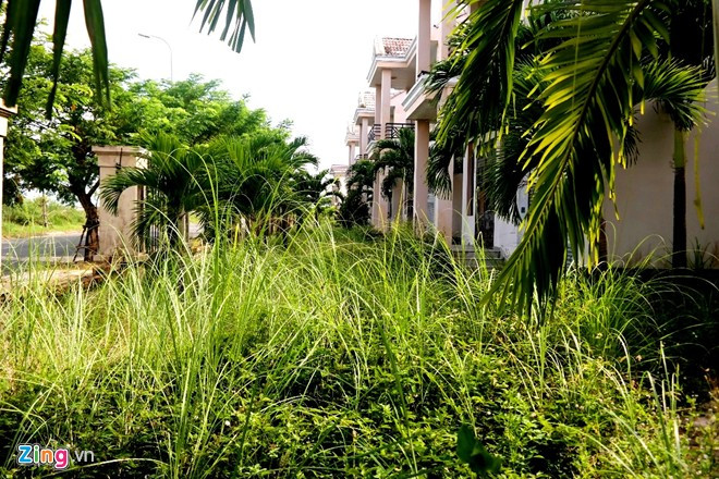 Mặt tiền của biệt thự nhìn ra sông Hàn thơ mộng giờ là khu lau lách rậm rạp. Ông Nguyễn Điểu - Giám đốc Sở Tài nguyên Môi trường Đà Nẵng cho biết, cụm thể thao Tuyên Sơn là một trong những khu vực đang được các cơ quan chức năng rà soát để có biện pháp xử lý tình trạng bỏ hoang, gây ô nhiễm.