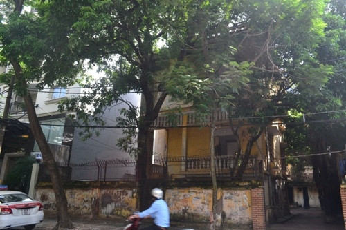 Tuy là “nhà hoang” nhưng chủ nhân vẫn thuê một vài người để bảo vệ cả ngày lẫn đêm. Ngôi nhà nằm ở số 51, phố Hàng Chuối mang phong cách đặc trưng của kiến trúc biệt thự Pháp cổ. Được biết đây là một trong số ít biệt thự cổ còn lại từ thời Pháp thuộc, nó có ý nghĩa lịch sử lớn lao nên UBND TP Hà Nội mới không cấp phép để chủ nhân mới phá bỏ xây nhà mới.