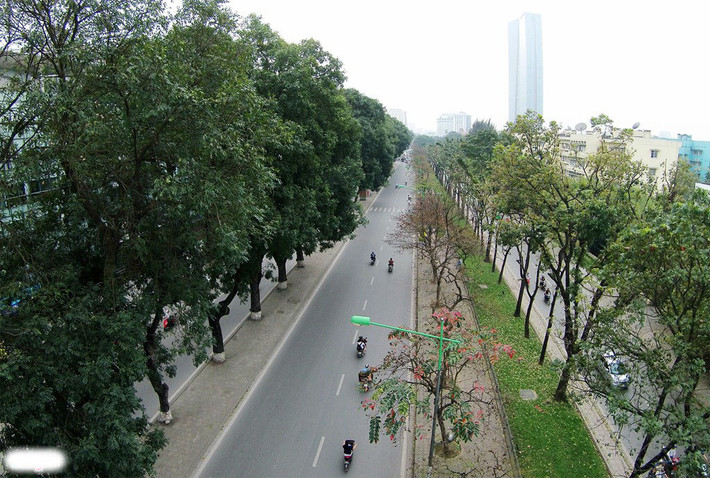 Nếu có được góc máy từ trên cao tại khu hàng cây Kim Mã này, nhiều người sẽ chụp được các bức ảnh đẹp.